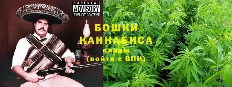 закладка  Бузулук  Бошки Шишки OG Kush 